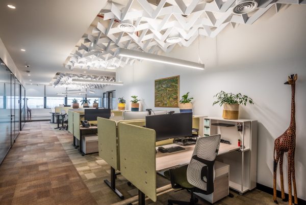 Rockerfeller Foundation NAirobi Offices - Designed by Planning Interiors Limited